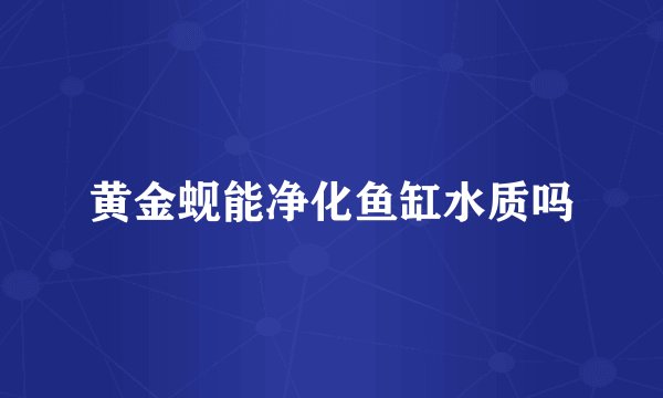黄金蚬能净化鱼缸水质吗