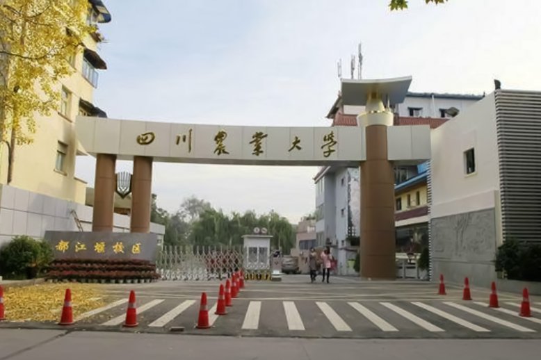 四川农业大学2023调档线是多少