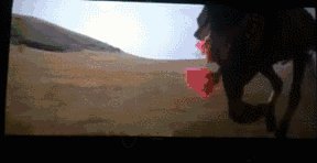 求“马震”动态图