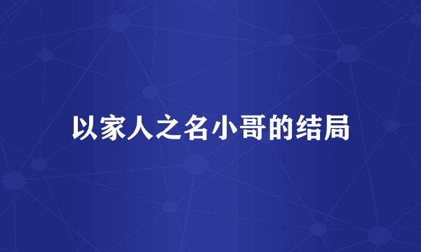 以家人之名小哥的结局