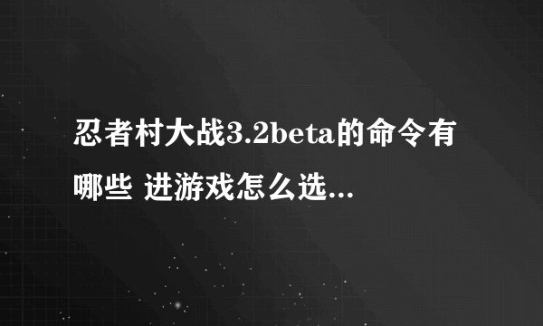 忍者村大战3.2beta的命令有哪些 进游戏怎么选模式，求指教
