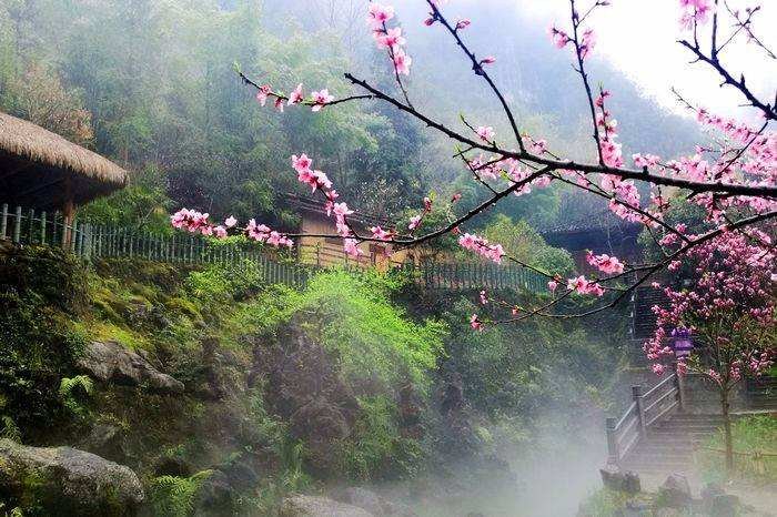《桃花源记》中的桃花源，究竟美在哪里？