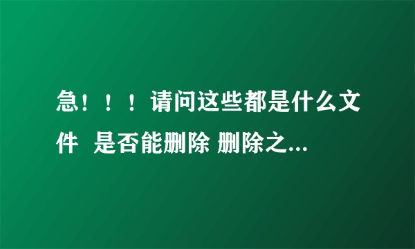 急！！！请问这些都是什么文件  是否能删除 删除之后会有什么么影响！！！