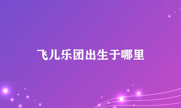 飞儿乐团出生于哪里