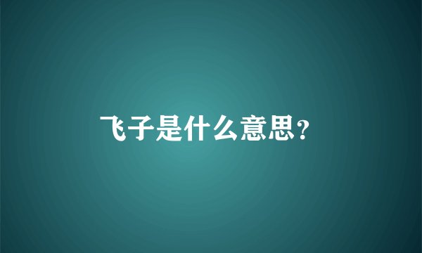 飞子是什么意思？