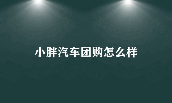 小胖汽车团购怎么样