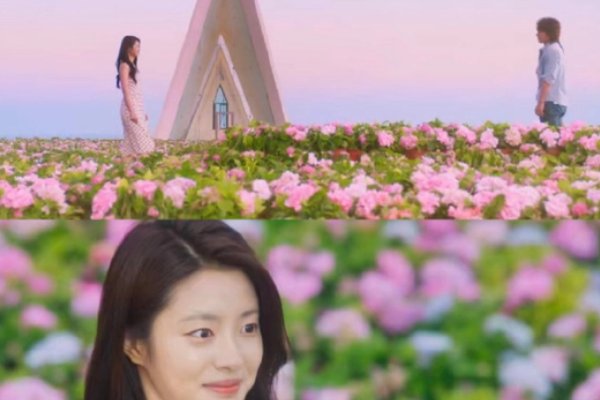 电视剧《夏花》最后结局是什么？