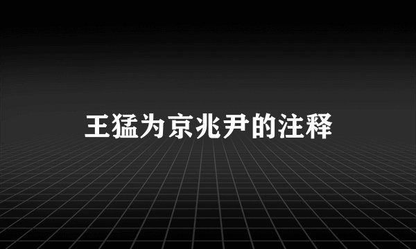 王猛为京兆尹的注释