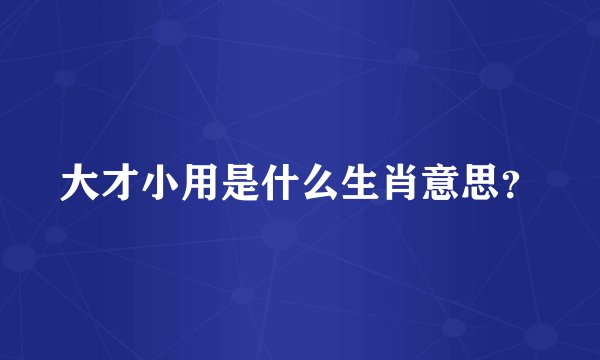 大才小用是什么生肖意思？