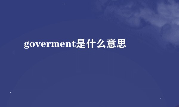 goverment是什么意思