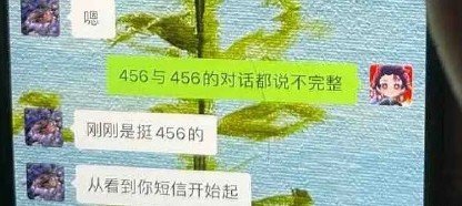 抖音456什么梗