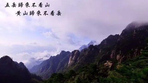 归来不看山的上一句和下一句是什么?