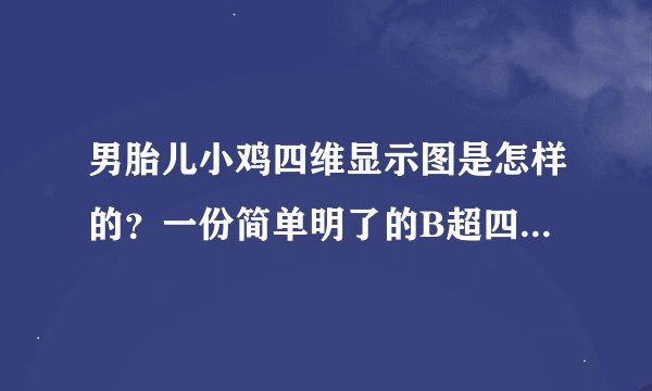 男胎儿小鸡四维显示图是怎样的？一份简单明了的B超四维单怎么看？