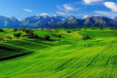 毛茸茸和毛绒绒区别