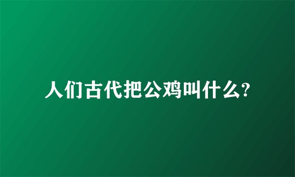人们古代把公鸡叫什么?