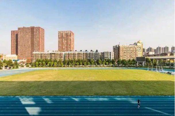 青岛职业技术学院2023录取线是多少？