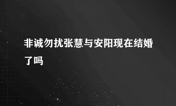 非诚勿扰张慧与安阳现在结婚了吗