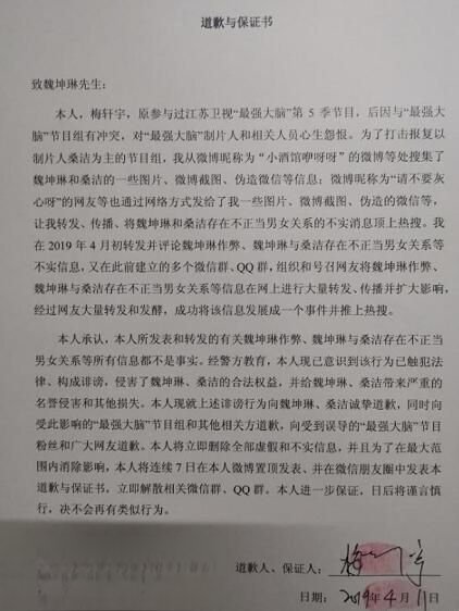 梅轩宇最强大脑第几期 梅轩宇道歉魏坤琳桑洁怎么回事