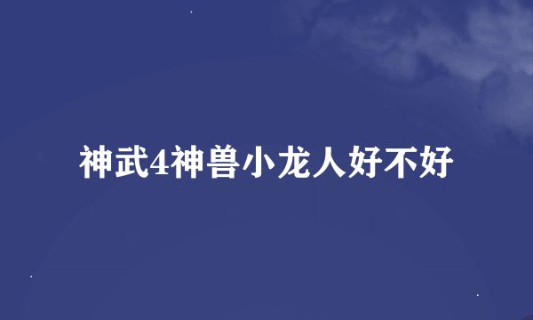 神武4神兽小龙人好不好