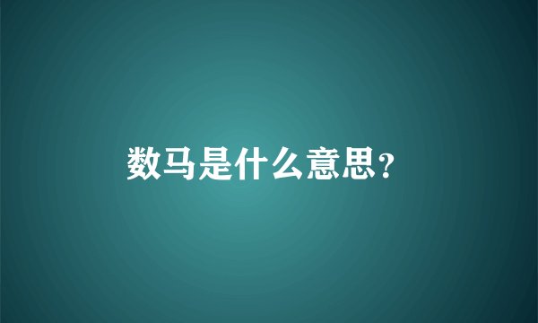 数马是什么意思？