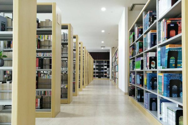 springer是什么数据库？