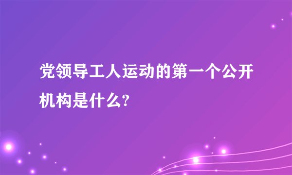 党领导工人运动的第一个公开机构是什么?