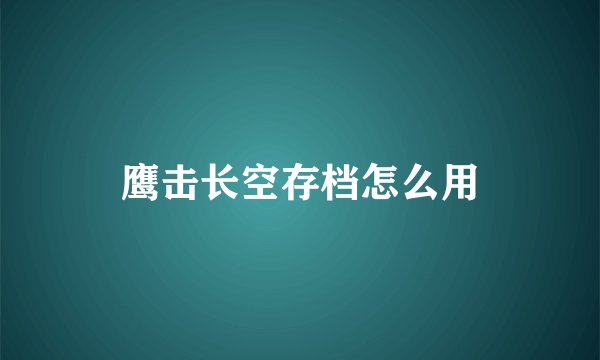 鹰击长空存档怎么用