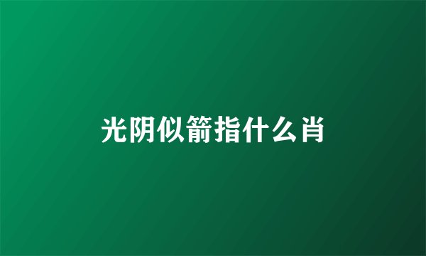 光阴似箭指什么肖