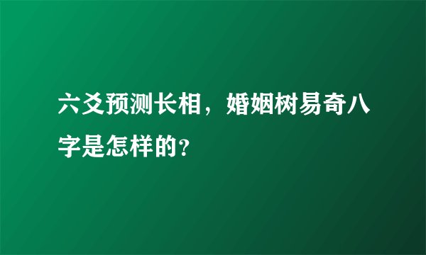 六爻预测长相，婚姻树易奇八字是怎样的？