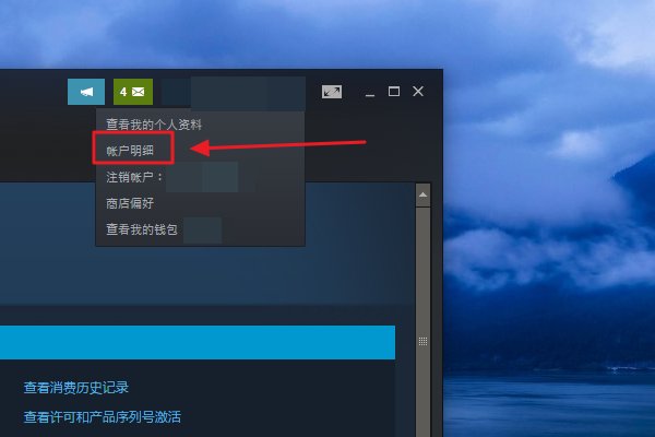 steam中的purchase是什么意思？