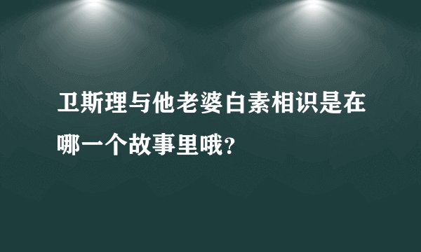 卫斯理与他老婆白素相识是在哪一个故事里哦？