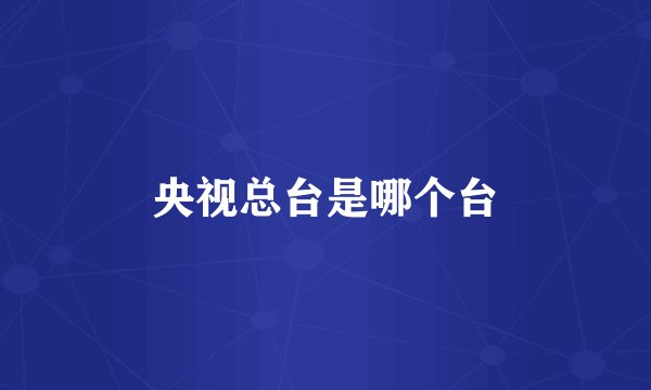 央视总台是哪个台