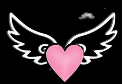 黑色的爱心符号是什么？