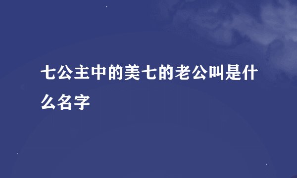 七公主中的美七的老公叫是什么名字