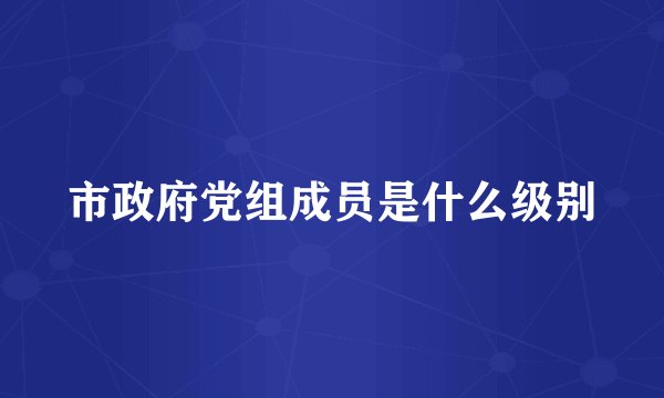 市政府党组成员是什么级别