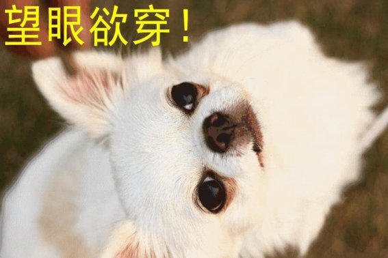 望眼欲穿是什么意思解释