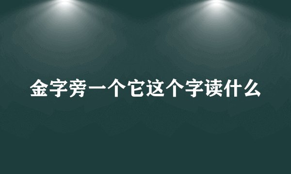 金字旁一个它这个字读什么
