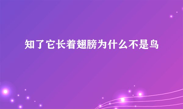 知了它长着翅膀为什么不是鸟