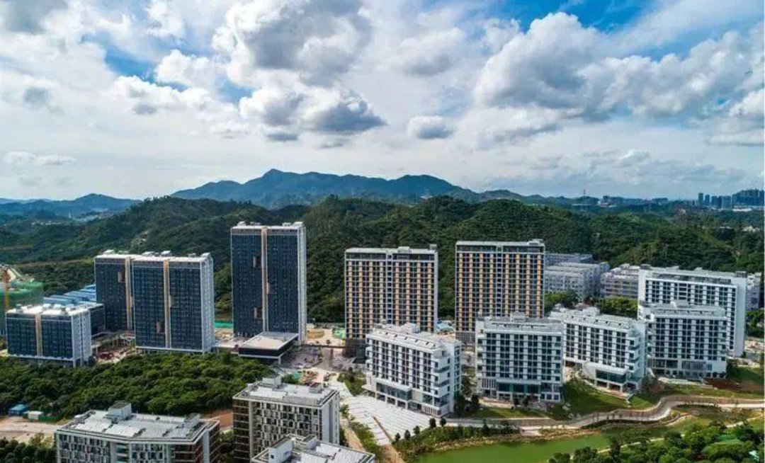 广东南方科技大学分数2022