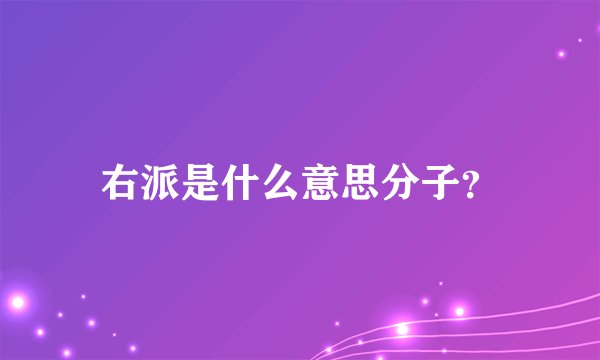 右派是什么意思分子？