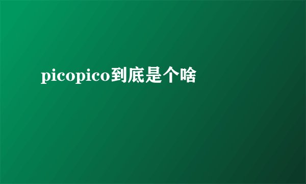picopico到底是个啥