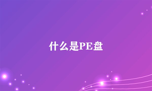 什么是PE盘