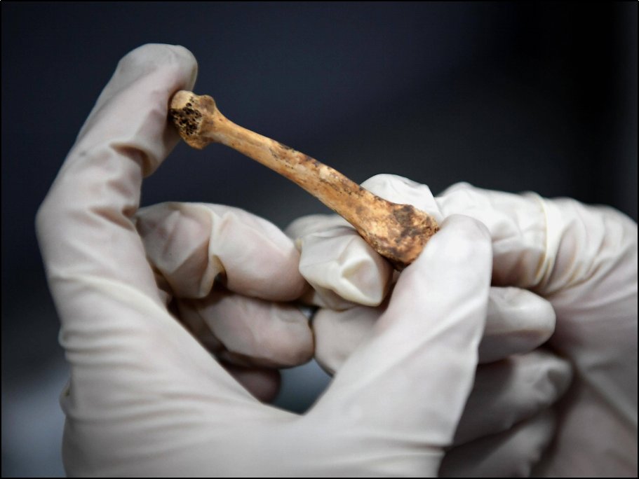 骸骨是什么意思