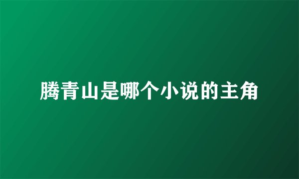 腾青山是哪个小说的主角