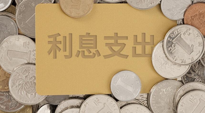 利息支出是什么