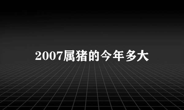 2007属猪的今年多大