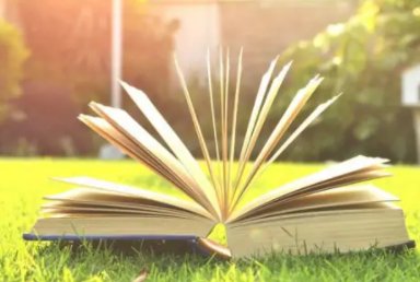 蜜汁肉桃是谁写的？