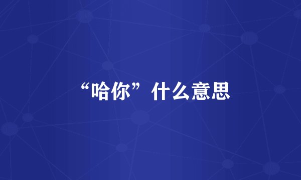 “哈你”什么意思
