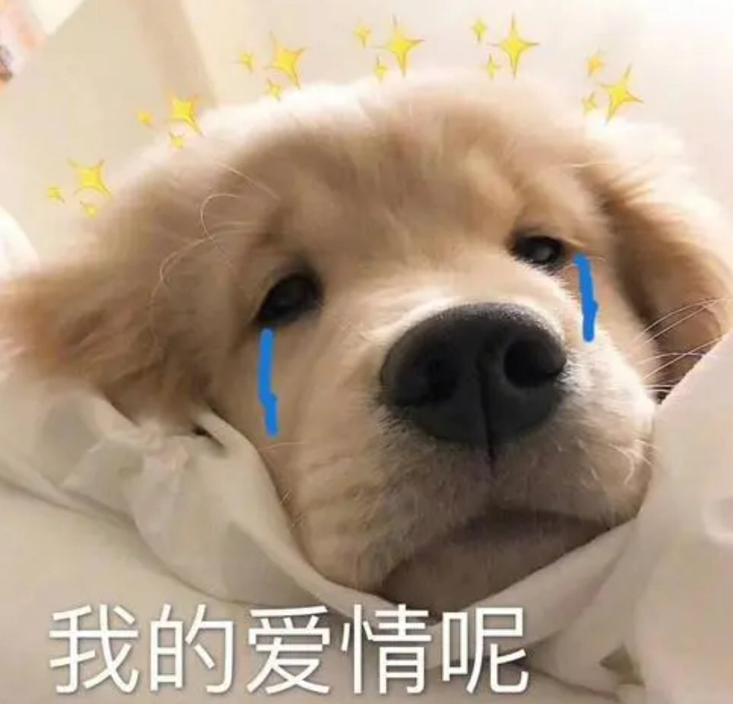 《灌篮高手》电影上映，是否拍出了你的预期？唤起了你的哪些回忆？