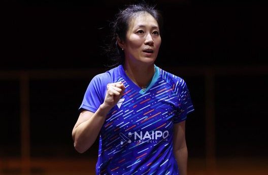 德国乒乓球运动员韩莹简历